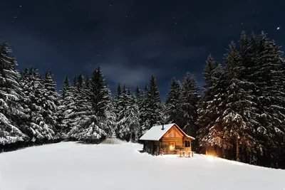 заснеженный лес ночью, Канвондо, зима, время года фон картинки и Фото для  бесплатной загрузки