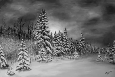 Темный лес снег (64 фото) - 64 фото