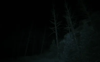 Steam Community :: Screenshot :: Ночной лес действительно ночной. И жуткий.