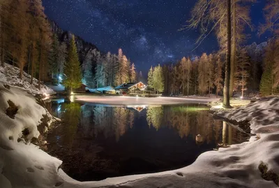 Лес зимой ночью (33 фото) - 33 фото