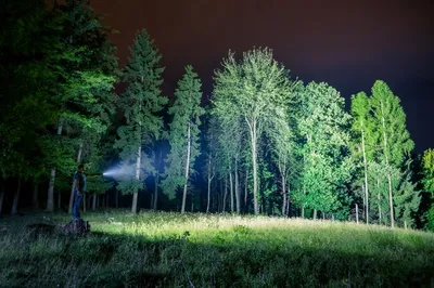 Ночью в лесу :) | Пикабу