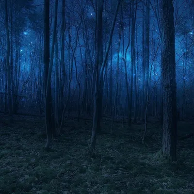 ночной лес зеленый мультфильм фон, ночь, лес, зеленый фон картинки и Фото  для бесплатной загрузки