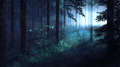 Как выглядит Танцующий лес ночью | Блог авиационного фотографа | Дзен