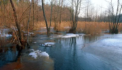 Природа (красивые фото природы: моря, озера, леса) / смешные картинки и  другие приколы: комиксы, гиф анимация, видео, лучший интеллектуальный юмор.