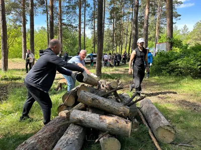 Пожары скоординированы: В Тольятти на фото попали поджигатели леса | TLT.ru  - Новости Тольятти