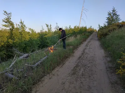 Тольятти - город и лес | Самарская обл.