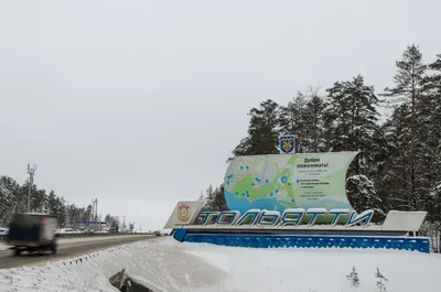 🎄 В Тольятти запрет на посещение лесов продлен до 3 июля. Такое решение  приняла администрация городского округа.. | ВКонтакте