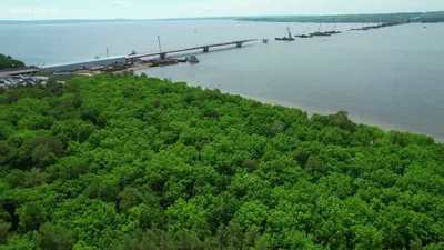 В Тольятти оперативные службы мобилизованы для тушения пожара в городском  лесу - Новости Самары и Тольятти - Новости Самарского региона НеСлухи.РФ