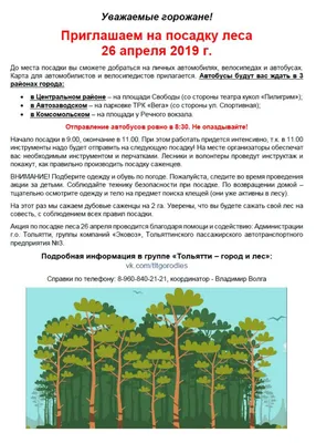 Панорама леса с видом на Волгу и город Тольятти - Фото с высоты птичьего  полета, съемка с квадрокоптера - PilotHub