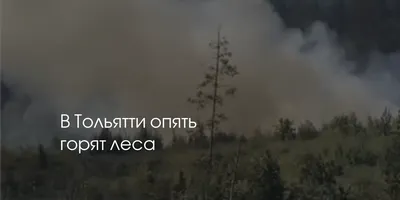 В Тольятти горит лес около Лесопаркового шоссе – Новости Самары и Самарской  области – ГТРК Самара