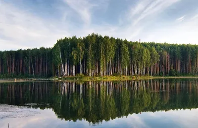 Ходить в леса можно только в 5 районах Беларуси - 25.06.2021, Sputnik  Беларусь