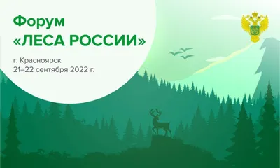 Бревно в глазу. Почему Россия может остаться без лесов и что с этим делать  - Відкритий ліс