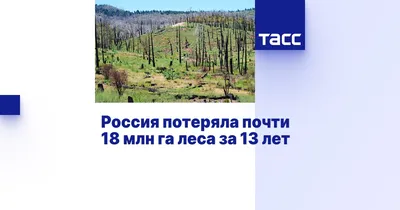 Forskning (Норвегия): площадь российских лесов становится больше  (Forskning.no, Норвегия) | 07.10.2022, ИноСМИ