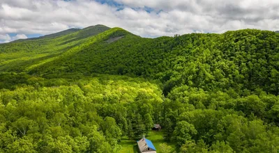 Леса России. 564 тыс. деревьев высажено в Кузбассе, 2,5 млн. в Приморье» в  блоге «Лесоводство, Рыбоводство, Экология» - Сделано у нас