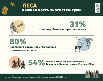 Остановили время: в сети появилось новое фото звезд \"Клона\" Веры Фишер и  Адрианы Лесы | HELLO! Russia