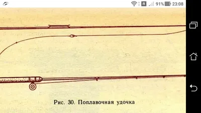 БЕЛОСНЕЖКА НАЧИНАЕТ ПЕТЬ ЗВЕРИ В ЛЕСЫ / Белоснежка (Дисней) (Snow White) ::  Приколы для даунов :: Буквы на фоне :: разное / картинки, гифки, прикольные  комиксы, интересные статьи по теме.