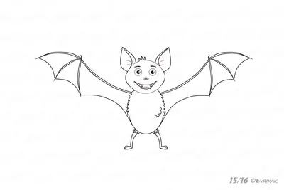 Летучая мышь рисунок карандашом для детей - 77 фото