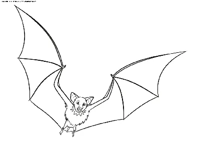 Раскраска Дракула в облике летучей мыши | Раскраски Каталог раскрасок.