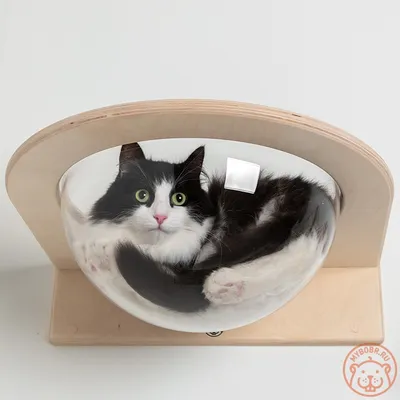 Лежанка для кошки \"Ар-Деко\" - Купить лежак для кошки недорого