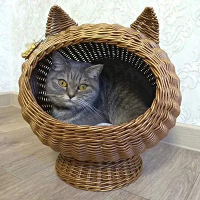 Лежанка для кошек «Амбре-1» купить в интернет зоомагазине Мир Кошек и Собак