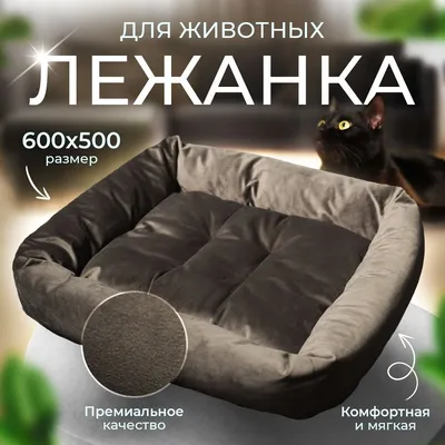 Напольная лежанка-подушка для кошек и собак из мебельного флока «Конэко» -  купить в Москве в интернет-магазине VseKogtetochki.ru