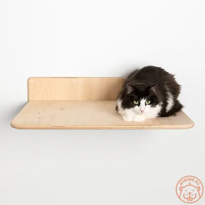 Тумба-юмба» домик для кошки напольный с лежанкой из флиса - купить в Москве  в интернет-магазине VseKogtetochki.ru