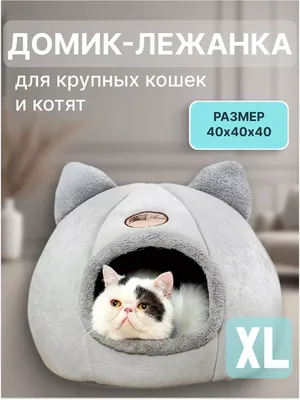 Кетсанай» домик для кошки напольный с лежанкой из флиса - купить в Москве в  интернет-магазине VseKogtetochki.ru