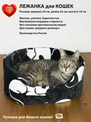 Когтеточка для кошек FOXIE Домик двухуровневый с лежанкой 40х40х45см купить  в интернет-магазине Бетховен