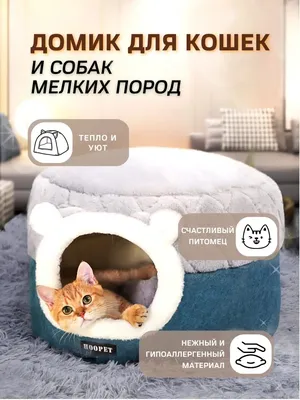 Лежанка для кошек, милая Лежанка для кошек, крытая моющаяся кровать для  кошек для домашнего использования для гостиной, средних и больших кошек,  крыльцо для балкона | AliExpress