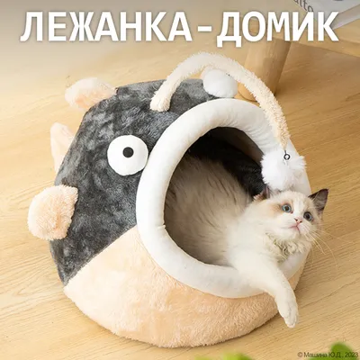 Купить Beeztees Лежанка для кошек Duvani - доставка, цена и наличие в  интернет-магазине и аптеках Доктор Вет