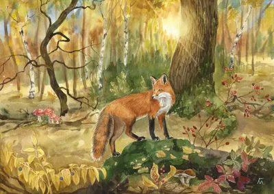 Иллюстрация Лиса. Осень в лесу в стиле живопись | Illustrators.ru