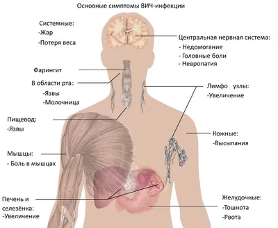 Стигма и дискриминация в отношении людей, живущих с ВИЧ » Минский областной  центр гигиены, эпидемиологии и общественного здоровья