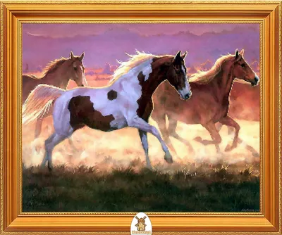 Скачать бесплатно обои «лошади, табун, горы, закат, берег, вода, пить,  жажда» из категории «Животные» на рабочий стол - FonMy.ru 🔥