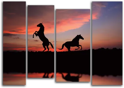 Бегущая лошадь на закате | Премиум Фото