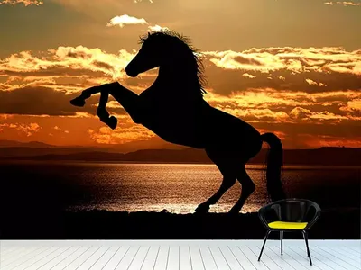 Силуэт лошади на закате стоковое фото. изображение насчитывающей грива -  195195960