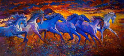Сафари на лошадях на закате в Белек - Программа, Отзывы, Цены