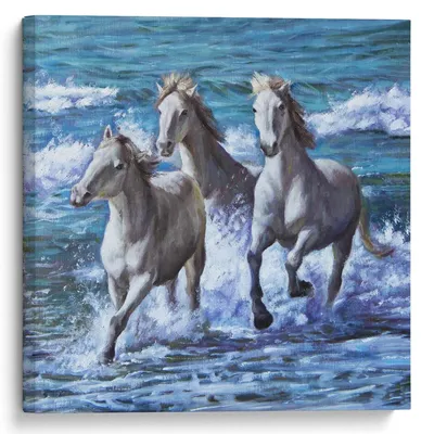 черно белое фото двух лошадей в воде, черно белые изображения лошадей фон  картинки и Фото для бесплатной загрузки