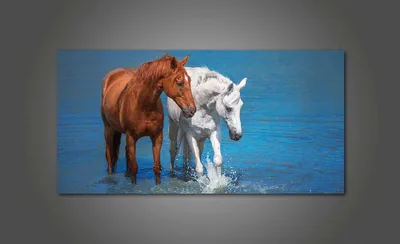 Фотодни с лошадьми Златой и Добрыней в очень живописном месте у пруда  (возможны фото на лошади в воде). Лошади спокойные и можно сидеть… |  Instagram