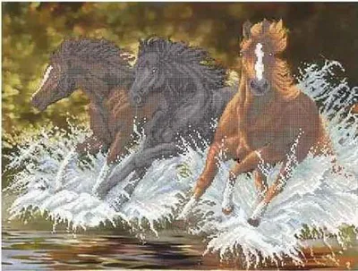 Картинка Лошади бегущий белых с брызгами воде Животные