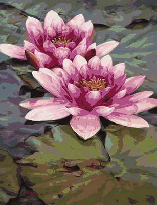 ᐉ Картина цветы и растения Цветок лотоса на воде 78x48 см (A1069-3)