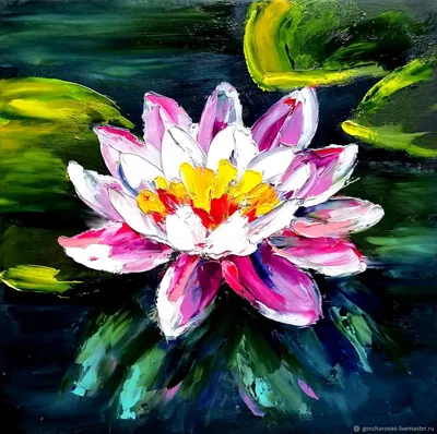 Красивый цветущий цветок лотоса на воде. Баннер для дизайна :: Стоковая  фотография :: Pixel-Shot Studio