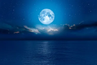 Луна Море Полная - Бесплатное фото на Pixabay - Pixabay