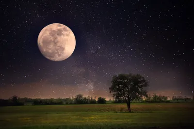 Супер луна Небо Nighttime с облаками и ярким полнолунием с Стоковое Фото -  изображение насчитывающей привлекательностей, снаружи: 90599592