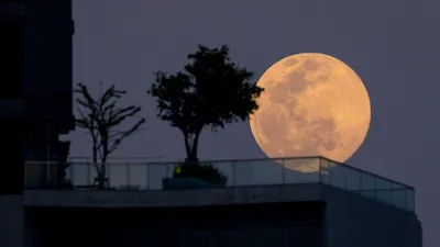 Луна и звезды картинки красивые - 71 фото