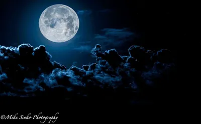 Луна Море Ночь - Бесплатное фото на Pixabay - Pixabay
