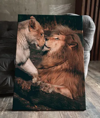 Картина на холсте (лев львы львица любовь пара и) 30 20 вертикально  интерьерная в комнату на стену в спальню - купить по низкой цене в  интернет-магазине OZON (581142176)