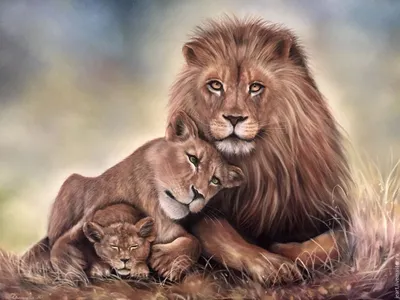 Любовь-жизнь | Львы, Картины