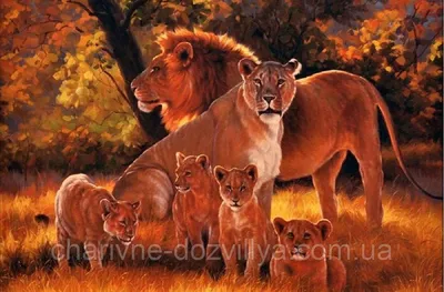 Картина на холсте на стену для интерьера, прихожую, кухню - Лев, львица,  лев и львица лежат, пара львов, львы любовь (2) 40х60 - купить по низкой  цене в интернет-магазине OZON (790288261)