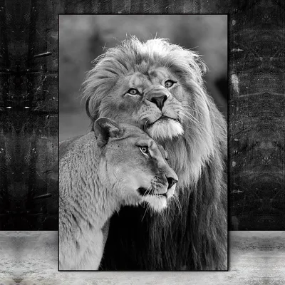 Львица и лев играют на волшебном …» — создано в Шедевруме
