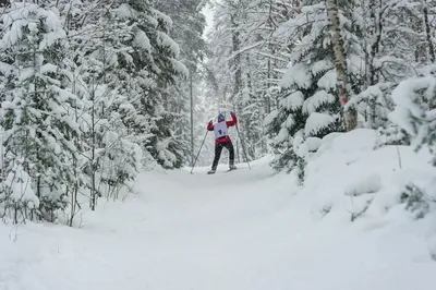 Family healthy lifestyle! Mother and son go skiing in the woods Stock Photo  by ©Guas 65419597